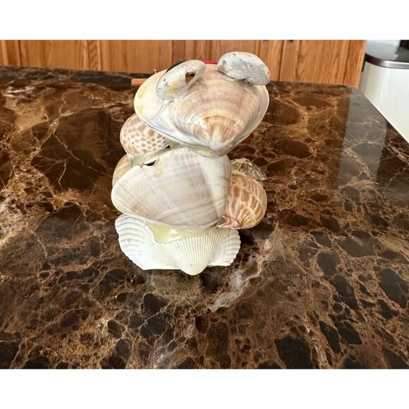 Handmade Shell Frog Figurine With Googly Eyes & Stick Sea Shells StarFish Beach - Picture 7 of 12